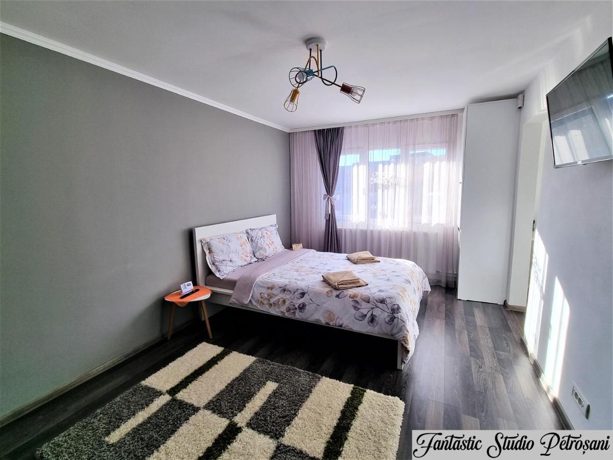 ~Fantastic Studio Petrosani~ Apartment Екстериор снимка