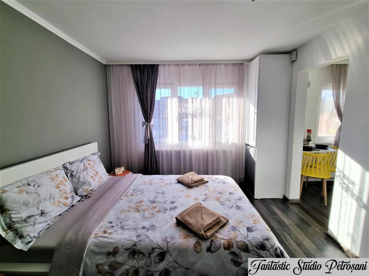 ~Fantastic Studio Petrosani~ Apartment Екстериор снимка