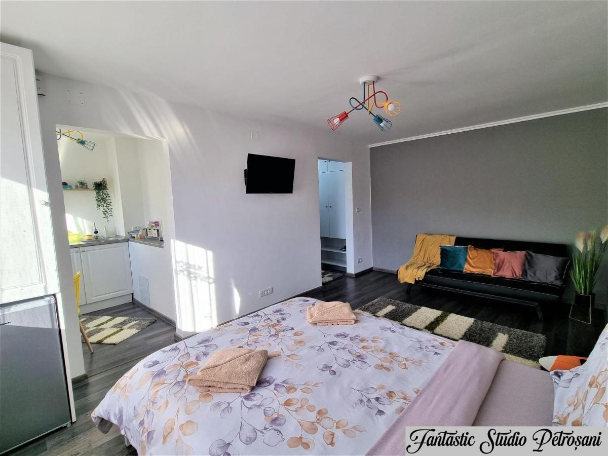 ~Fantastic Studio Petrosani~ Apartment Екстериор снимка