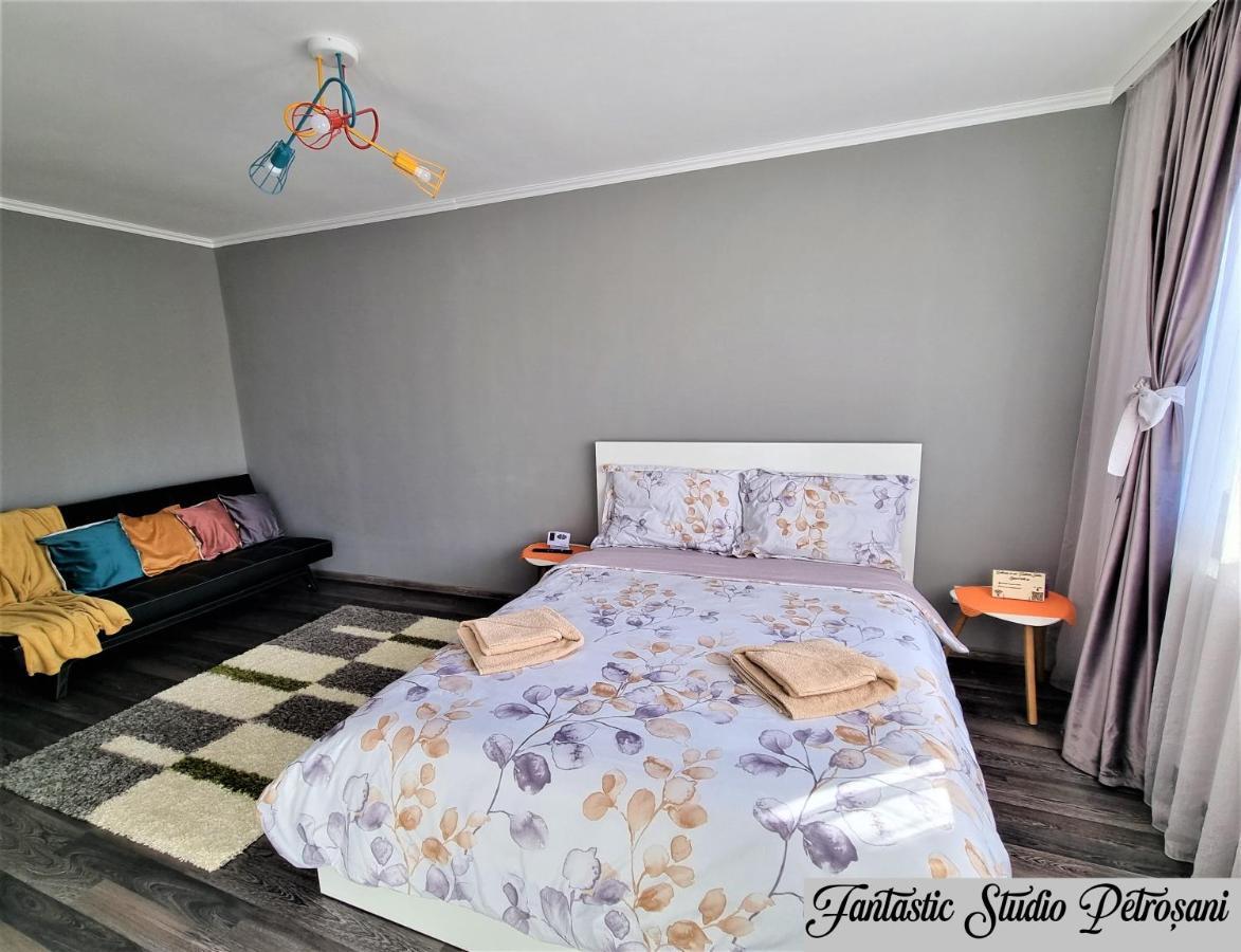 ~Fantastic Studio Petrosani~ Apartment Екстериор снимка
