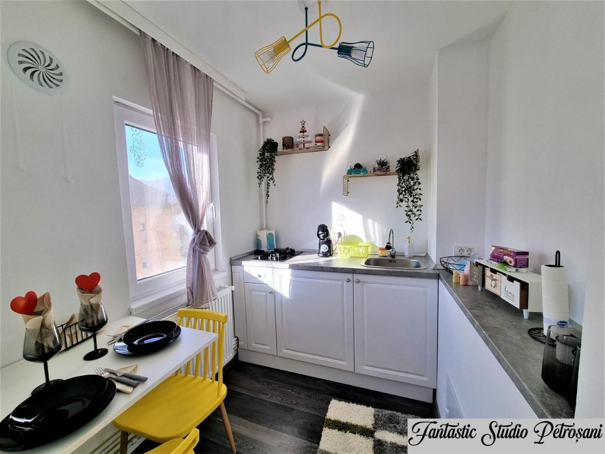 ~Fantastic Studio Petrosani~ Apartment Екстериор снимка